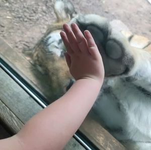 Meet your Posher, Bonnie